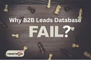 B2B Leads Database