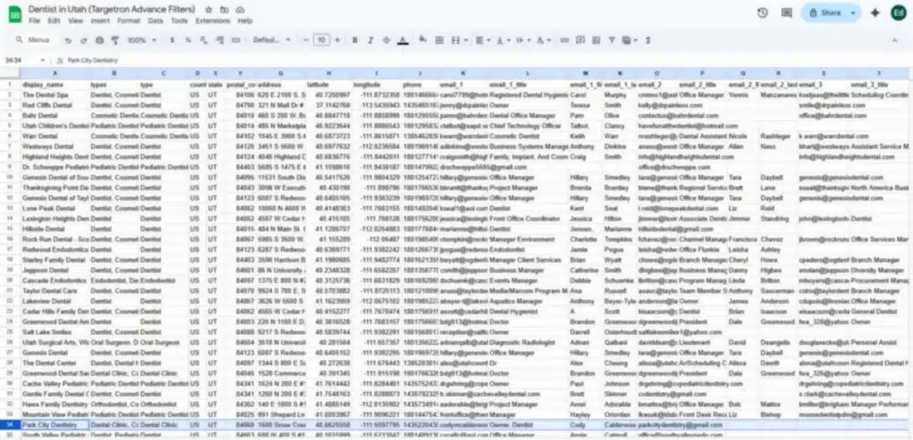 Targetron Advanced Filters for Decision-Maker Contacts