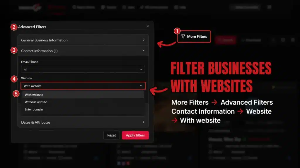 Targetron Contact Information filters showing the Website option for narrowing local business records.